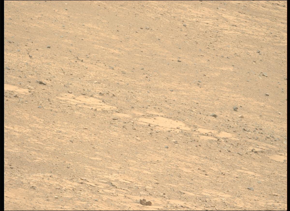 This image was taken by MCZ_LEFT onboard NASA's Mars rover Perseverance on Sol 1453