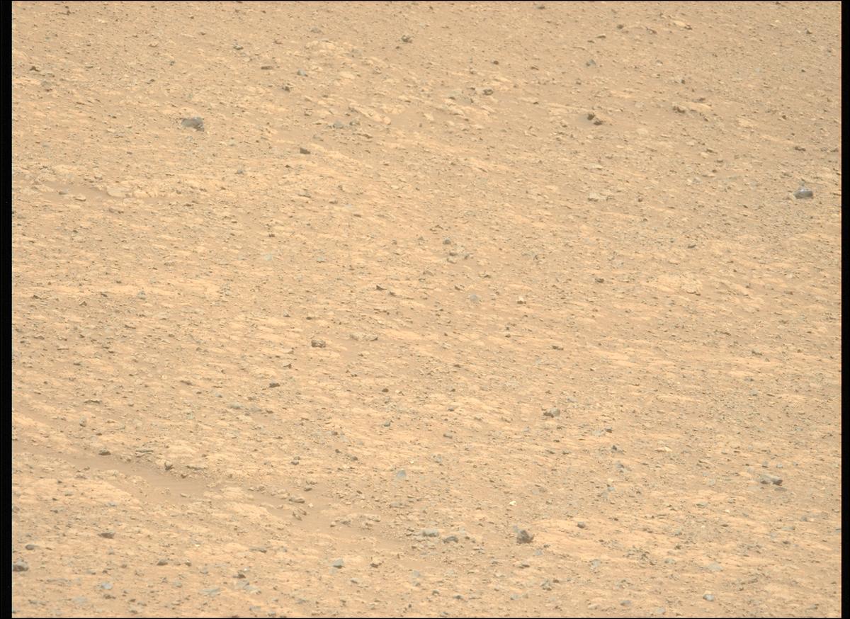 This image was taken by MCZ_LEFT onboard NASA's Mars rover Perseverance on Sol 1453