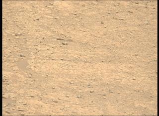 View image taken on Mars, Mars Perseverance Sol 1453: Left Mastcam-Z Camera