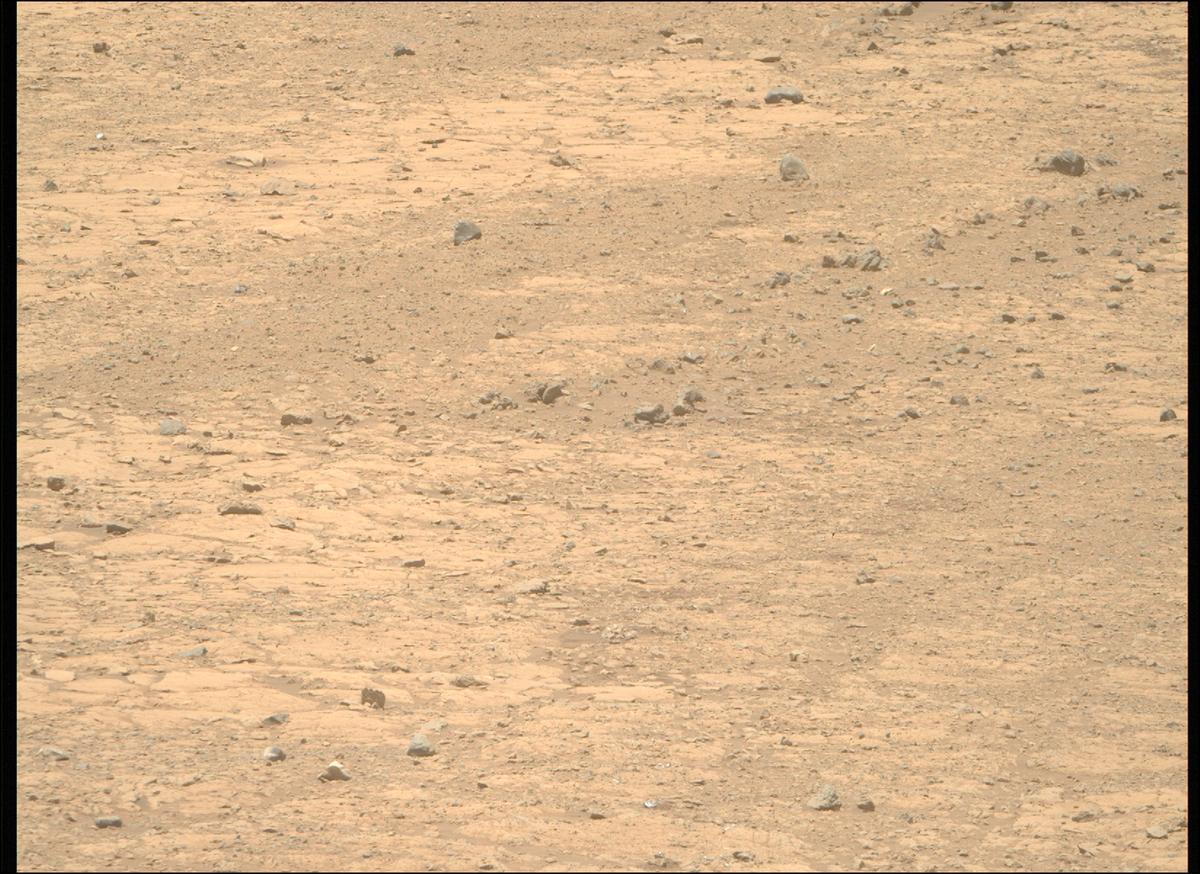 This image was taken by MCZ_RIGHT onboard NASA's Mars rover Perseverance on Sol 1453
