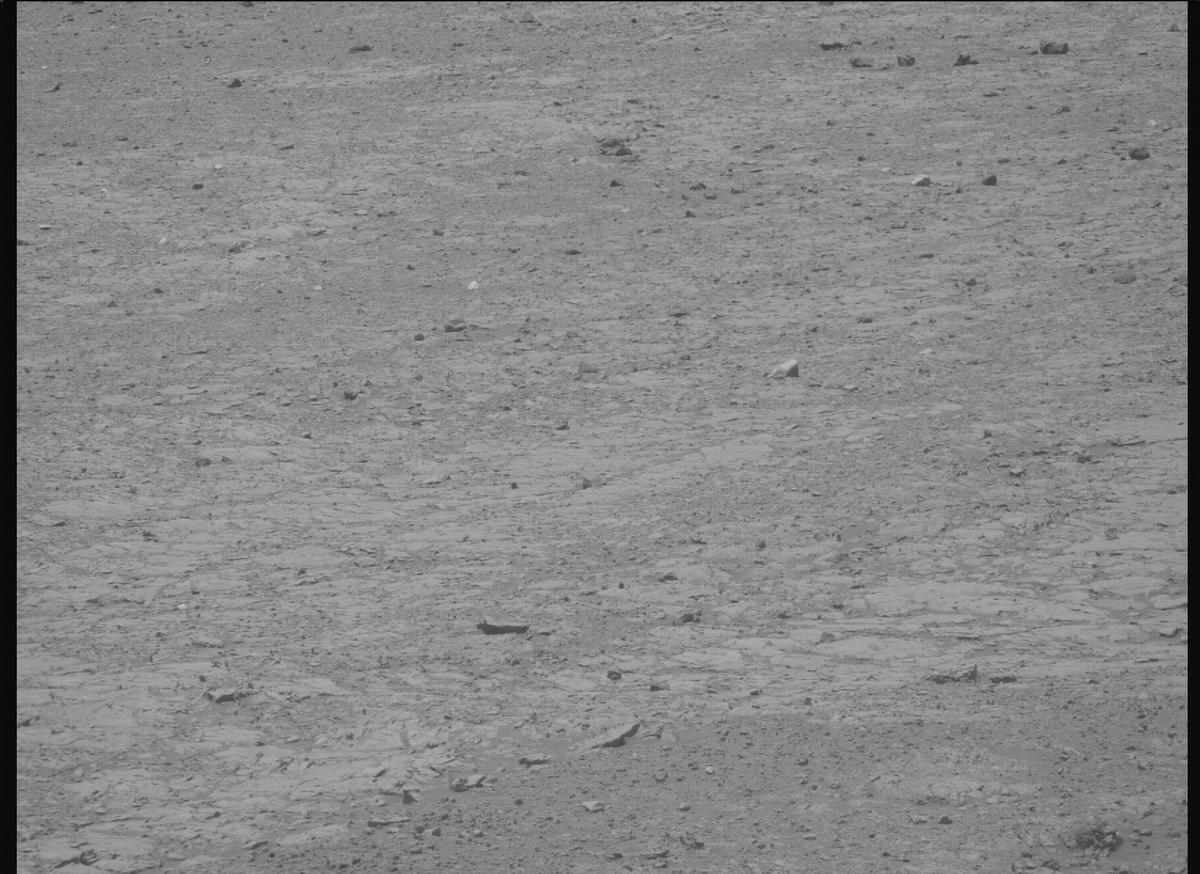 This image was taken by MCZ_RIGHT onboard NASA's Mars rover Perseverance on Sol 1453