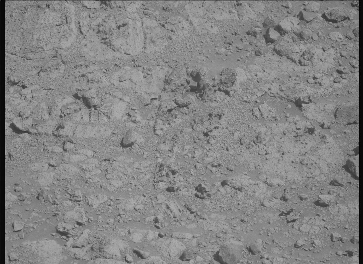 This image was taken by MCZ_LEFT onboard NASA's Mars rover Perseverance on Sol 1454