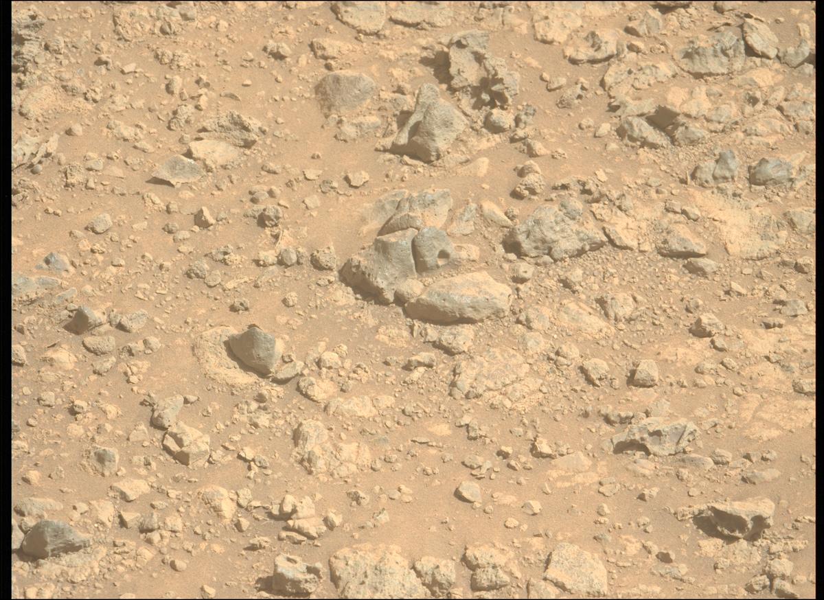 This image was taken by MCZ_LEFT onboard NASA's Mars rover Perseverance on Sol 1454