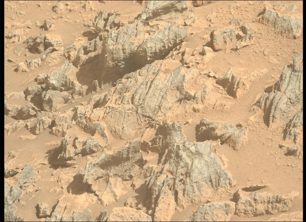 This image was taken by MCZ_LEFT onboard NASA's Mars rover Perseverance on Sol 1454