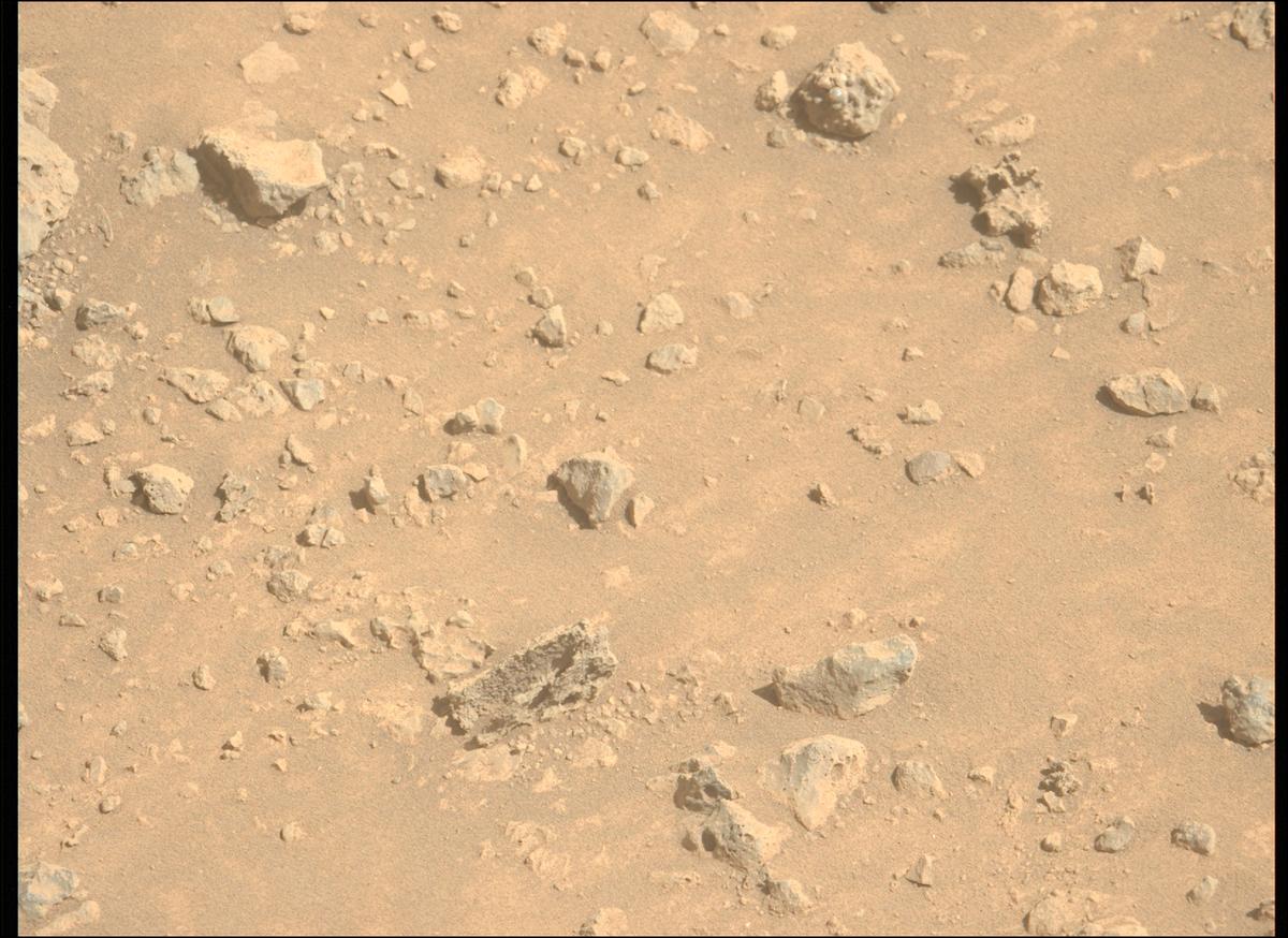 This image was taken by MCZ_LEFT onboard NASA's Mars rover Perseverance on Sol 1454