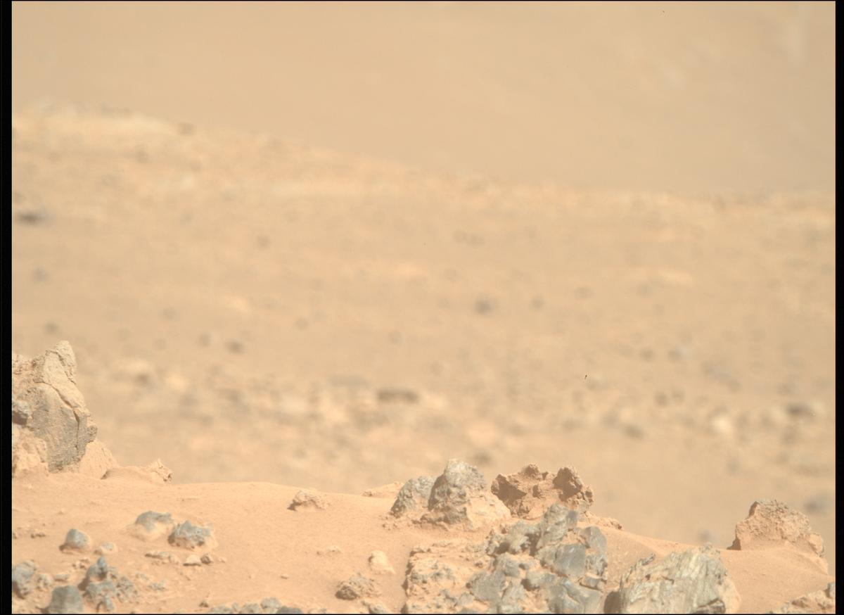 This image was taken by MCZ_RIGHT onboard NASA's Mars rover Perseverance on Sol 1454
