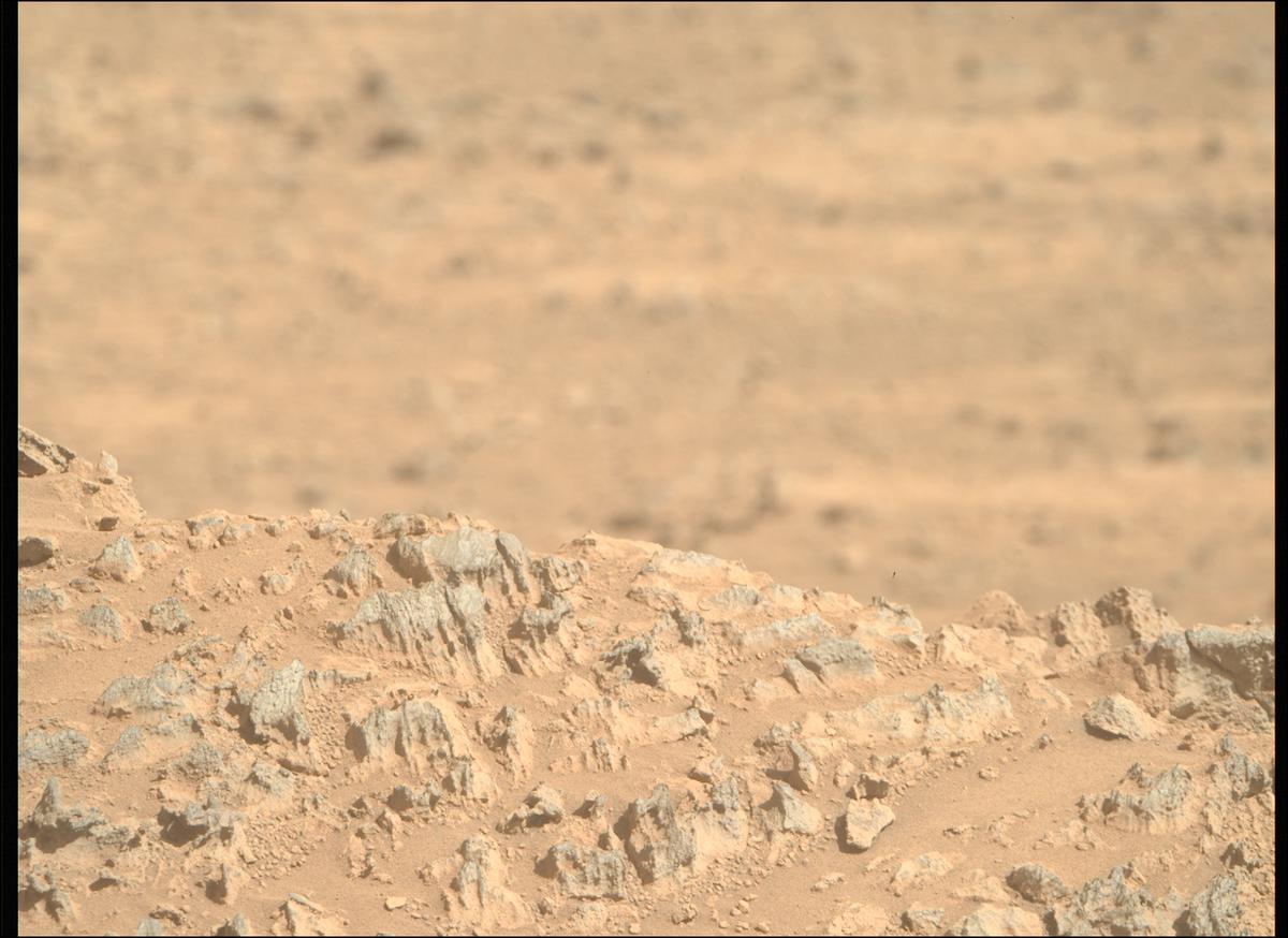 This image was taken by MCZ_RIGHT onboard NASA's Mars rover Perseverance on Sol 1454