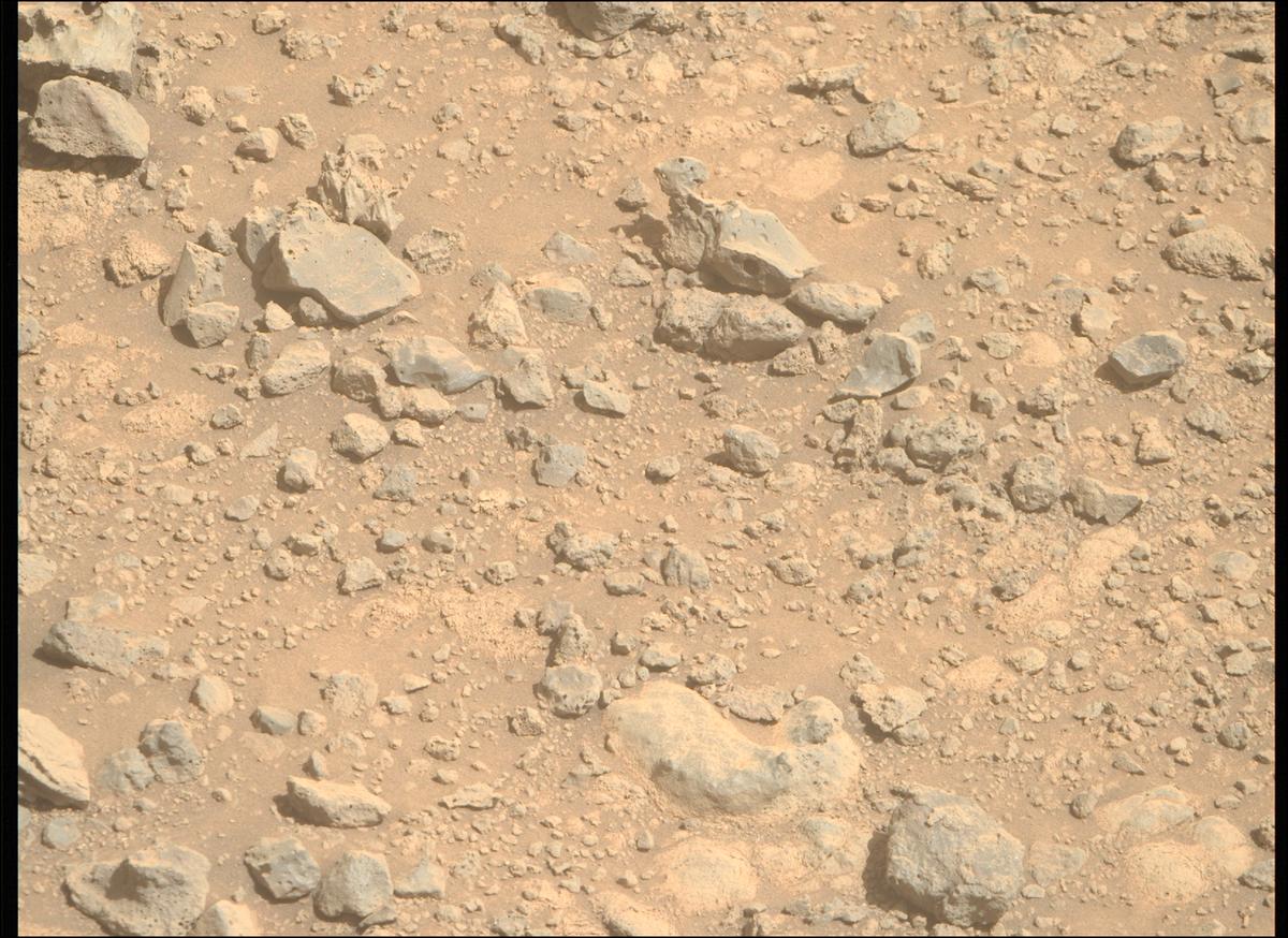 This image was taken by MCZ_RIGHT onboard NASA's Mars rover Perseverance on Sol 1454