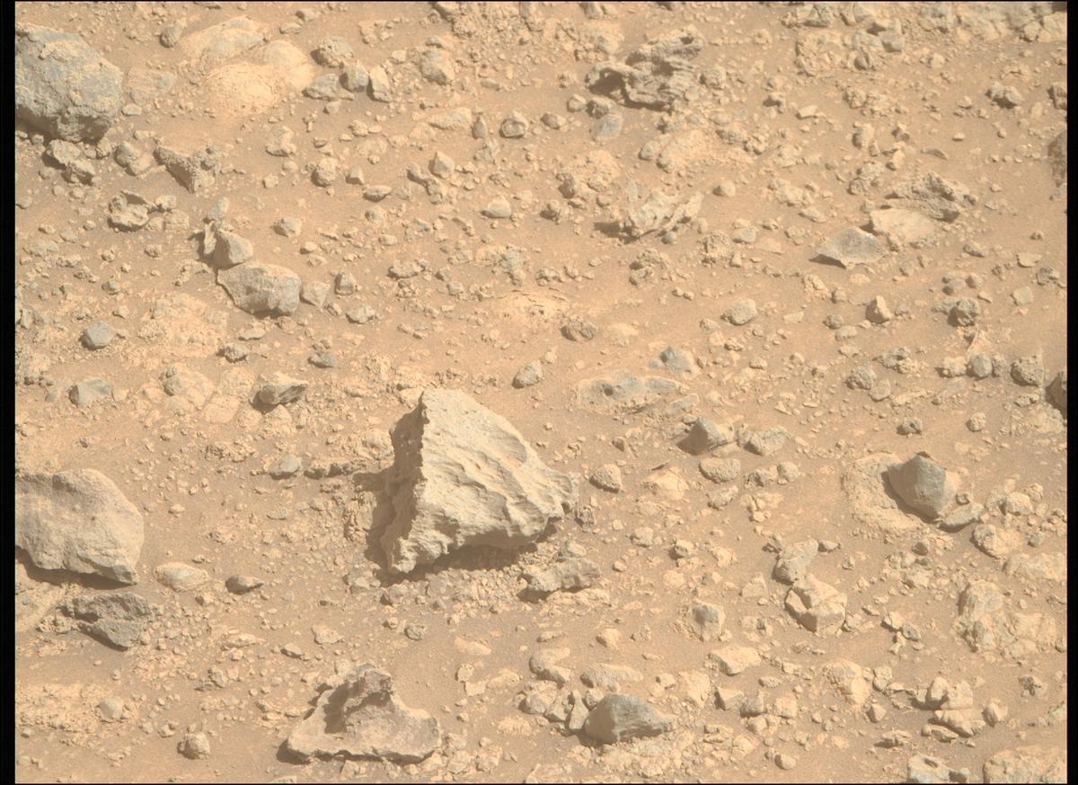 This image was taken by MCZ_RIGHT onboard NASA's Mars rover Perseverance on Sol 1454
