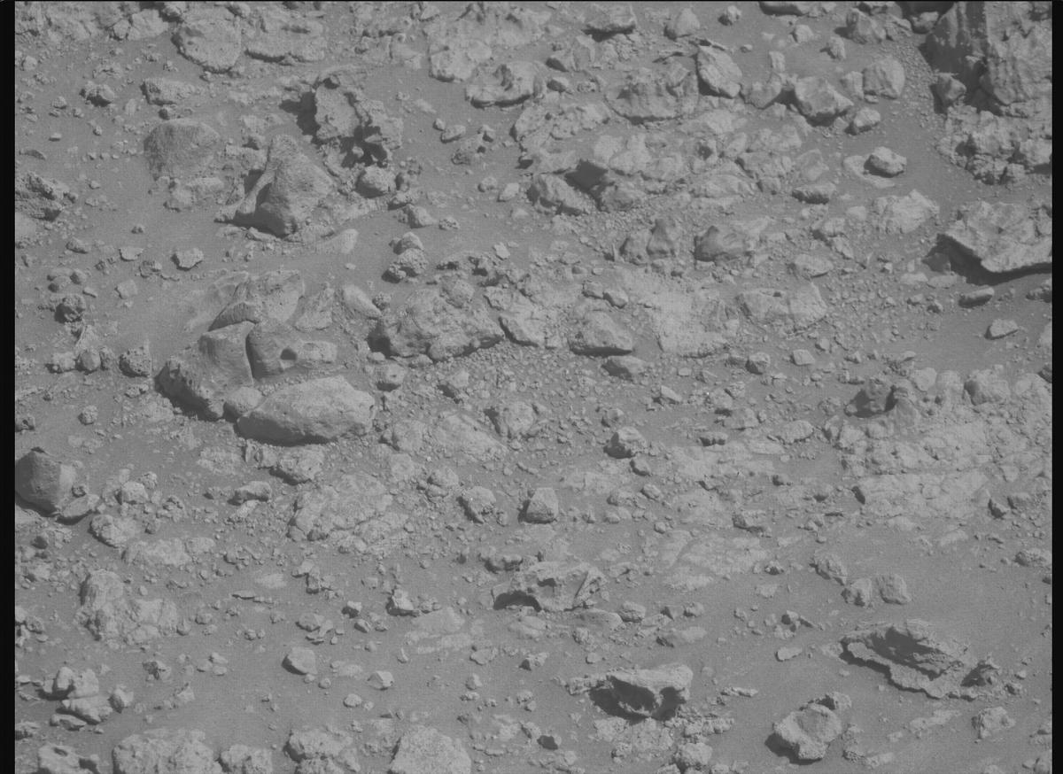 This image was taken by MCZ_RIGHT onboard NASA's Mars rover Perseverance on Sol 1454