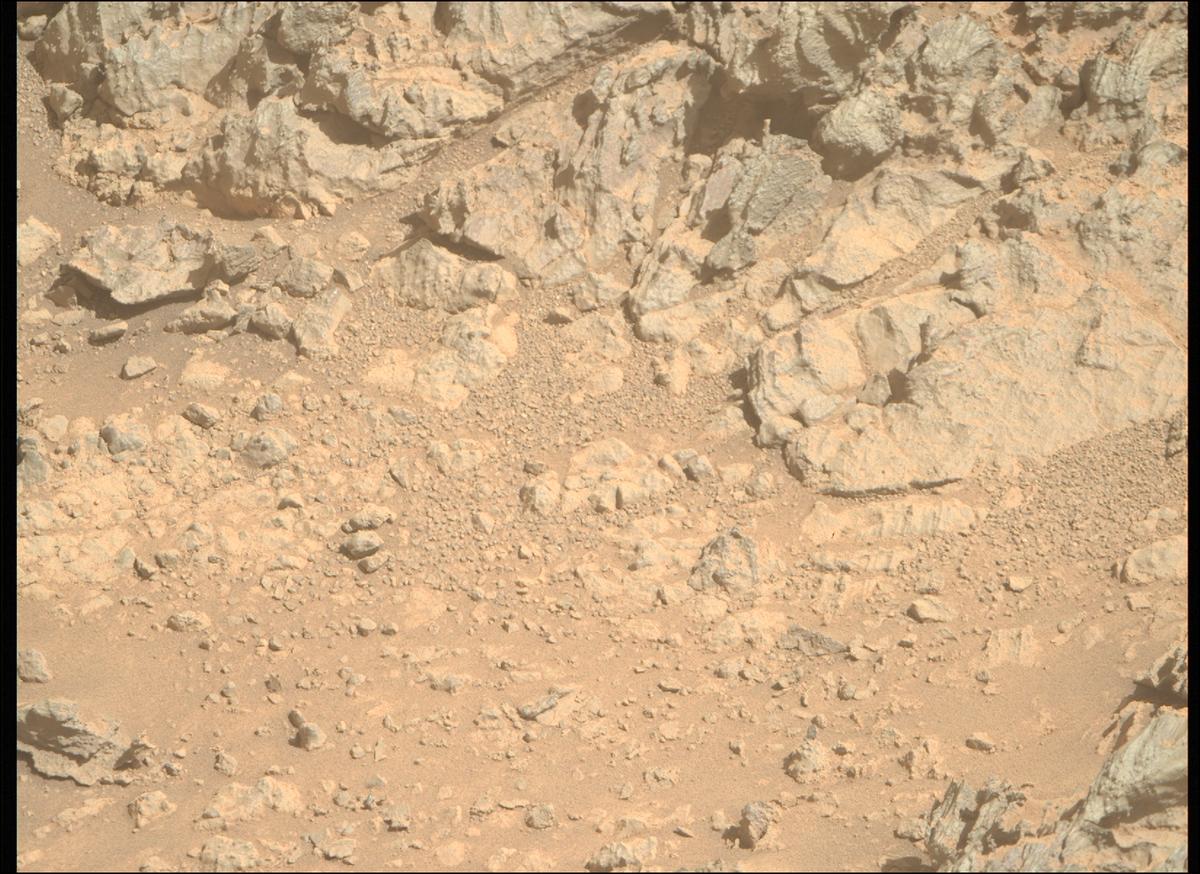 This image was taken by MCZ_RIGHT onboard NASA's Mars rover Perseverance on Sol 1454