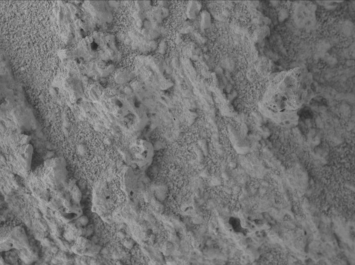 This image was taken by SHERLOC_WATSON onboard NASA's Mars rover Perseverance on Sol 1456