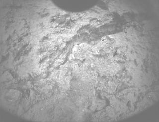 View image taken on Mars, Mars Perseverance Sol 1458: PIXL Camera 