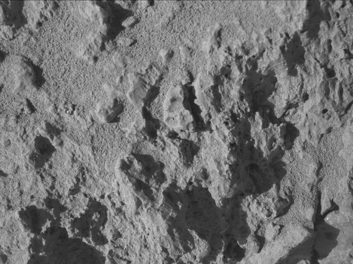 This image was taken by SHERLOC_WATSON onboard NASA's Mars rover Perseverance on Sol 1458