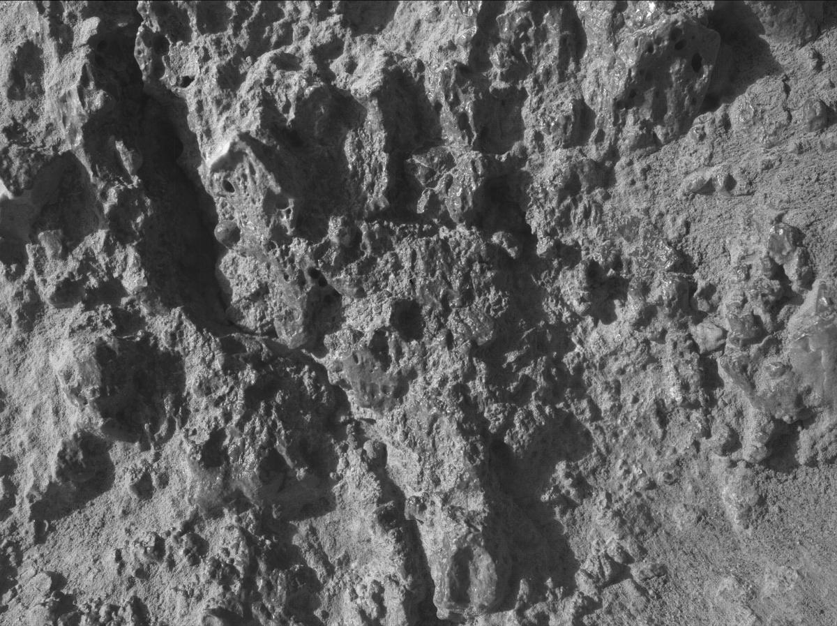 This image was taken by SHERLOC_WATSON onboard NASA's Mars rover Perseverance on Sol 1458