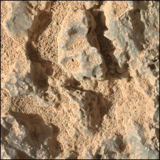 View image taken on Mars, Mars Perseverance Sol 1458: WATSON Camera 