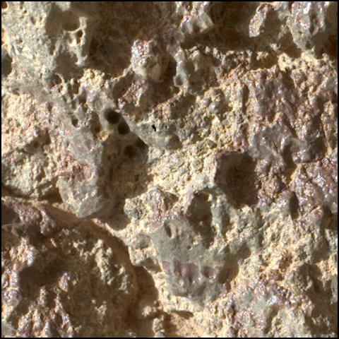 This image was taken by SHERLOC_WATSON onboard NASA's Mars rover Perseverance on Sol 1458
