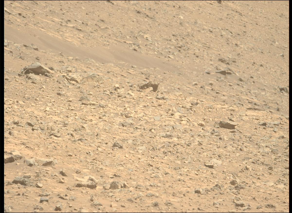 This image was taken by MCZ_LEFT onboard NASA's Mars rover Perseverance on Sol 1458