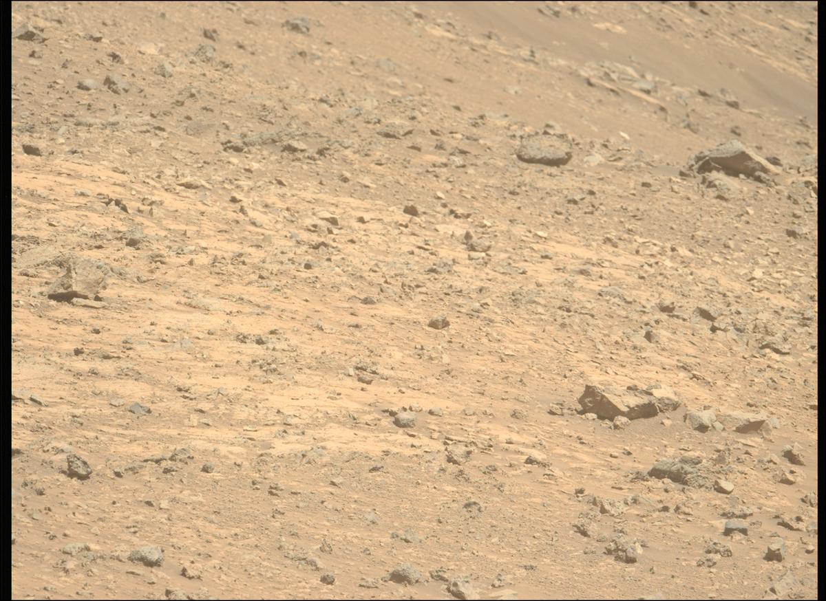 This image was taken by MCZ_LEFT onboard NASA's Mars rover Perseverance on Sol 1458