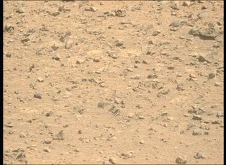 View image taken on Mars, Mars Perseverance Sol 1458: Left Mastcam-Z Camera