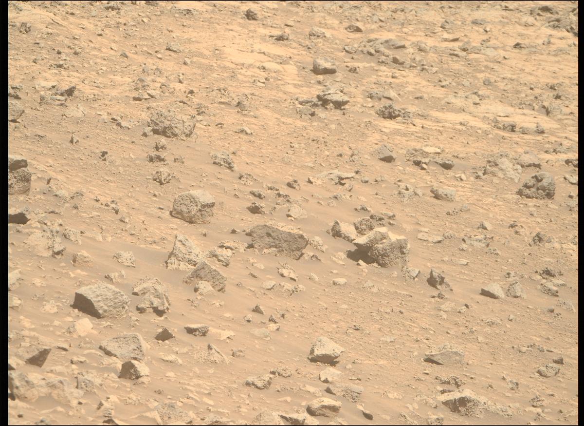 This image was taken by MCZ_RIGHT onboard NASA's Mars rover Perseverance on Sol 1458