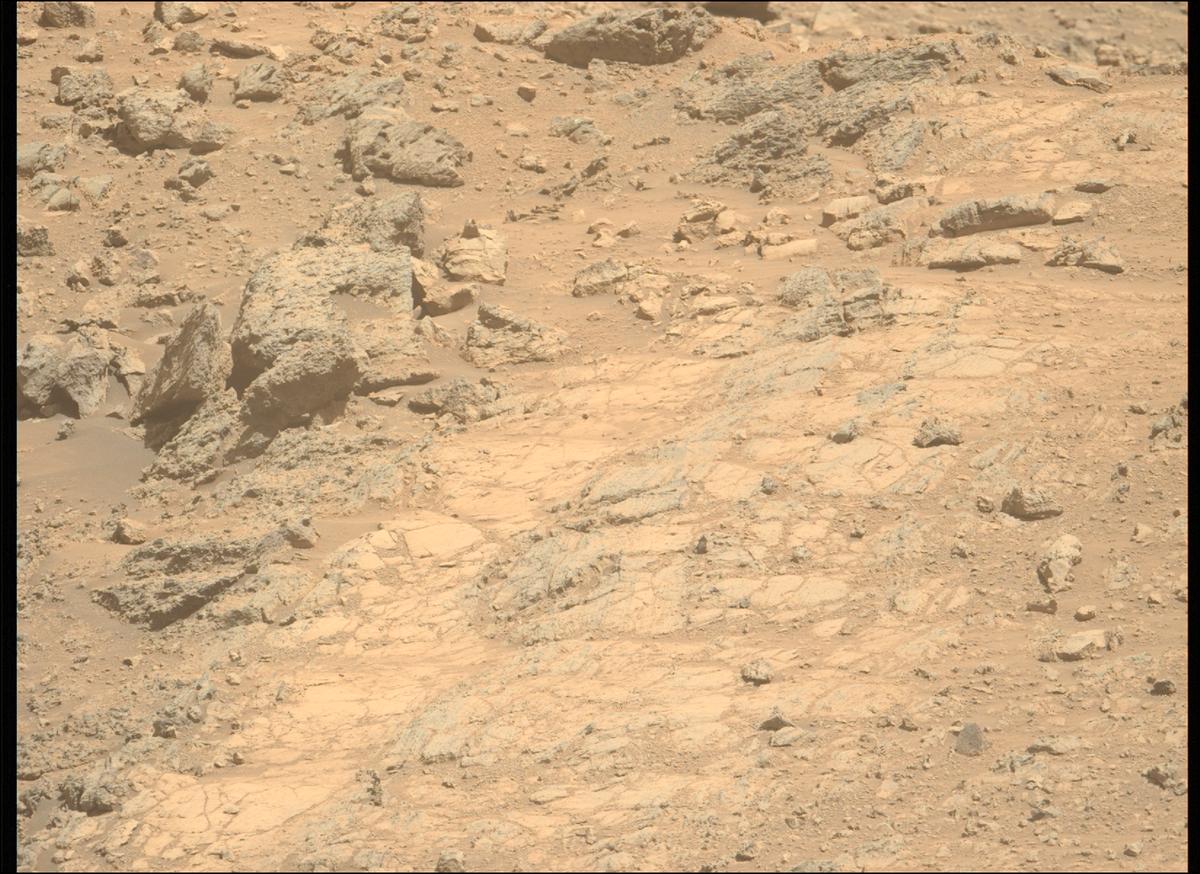 This image was taken by MCZ_LEFT onboard NASA's Mars rover Perseverance on Sol 1459