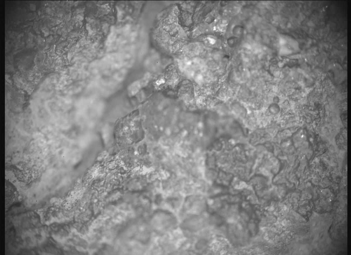 This image was taken by SHERLOC_ACI onboard NASA's Mars rover Perseverance on Sol 1460