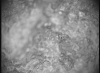 View image taken on Mars, Mars Perseverance Sol 1460: SHERLOC ACI Camera 