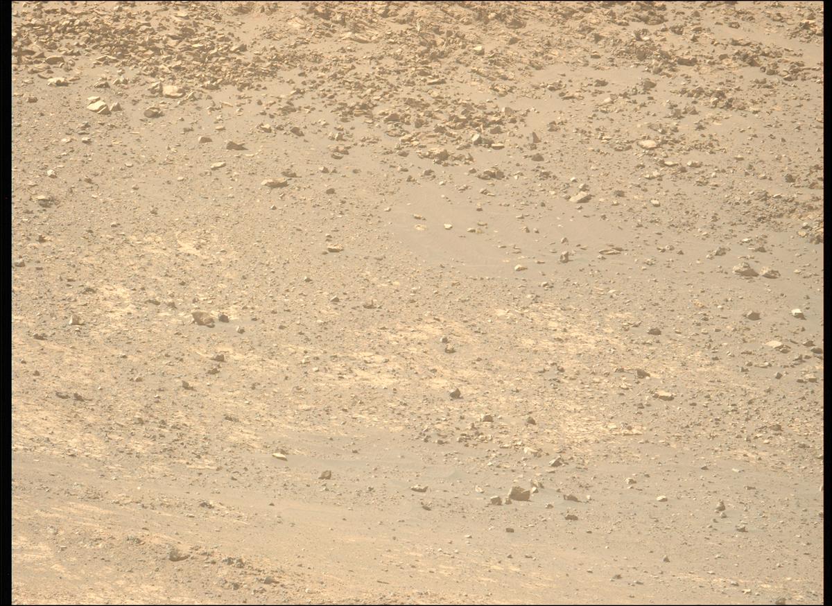 This image was taken by MCZ_LEFT onboard NASA's Mars rover Perseverance on Sol 1461