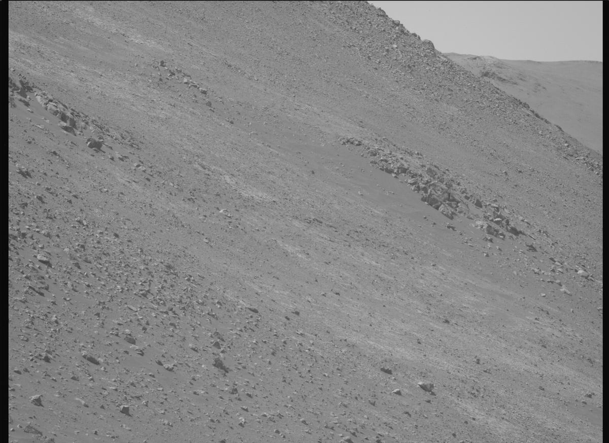 This image was taken by MCZ_LEFT onboard NASA's Mars rover Perseverance on Sol 1461