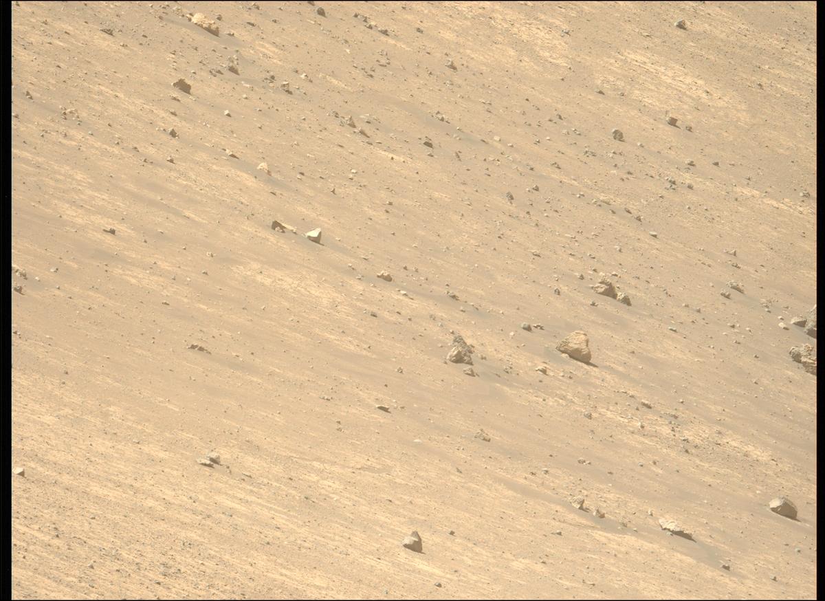This image was taken by MCZ_LEFT onboard NASA's Mars rover Perseverance on Sol 1461