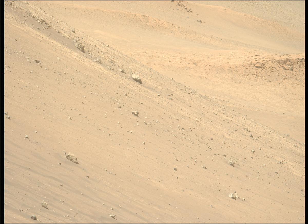 This image was taken by MCZ_LEFT onboard NASA's Mars rover Perseverance on Sol 1461