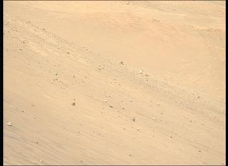 View image taken on Mars, Mars Perseverance Sol 1461: Left Mastcam-Z Camera