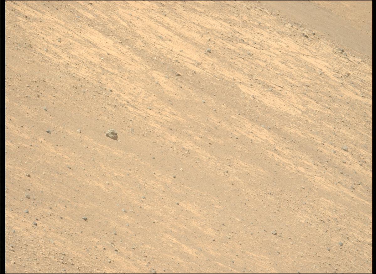 This image was taken by MCZ_LEFT onboard NASA's Mars rover Perseverance on Sol 1461