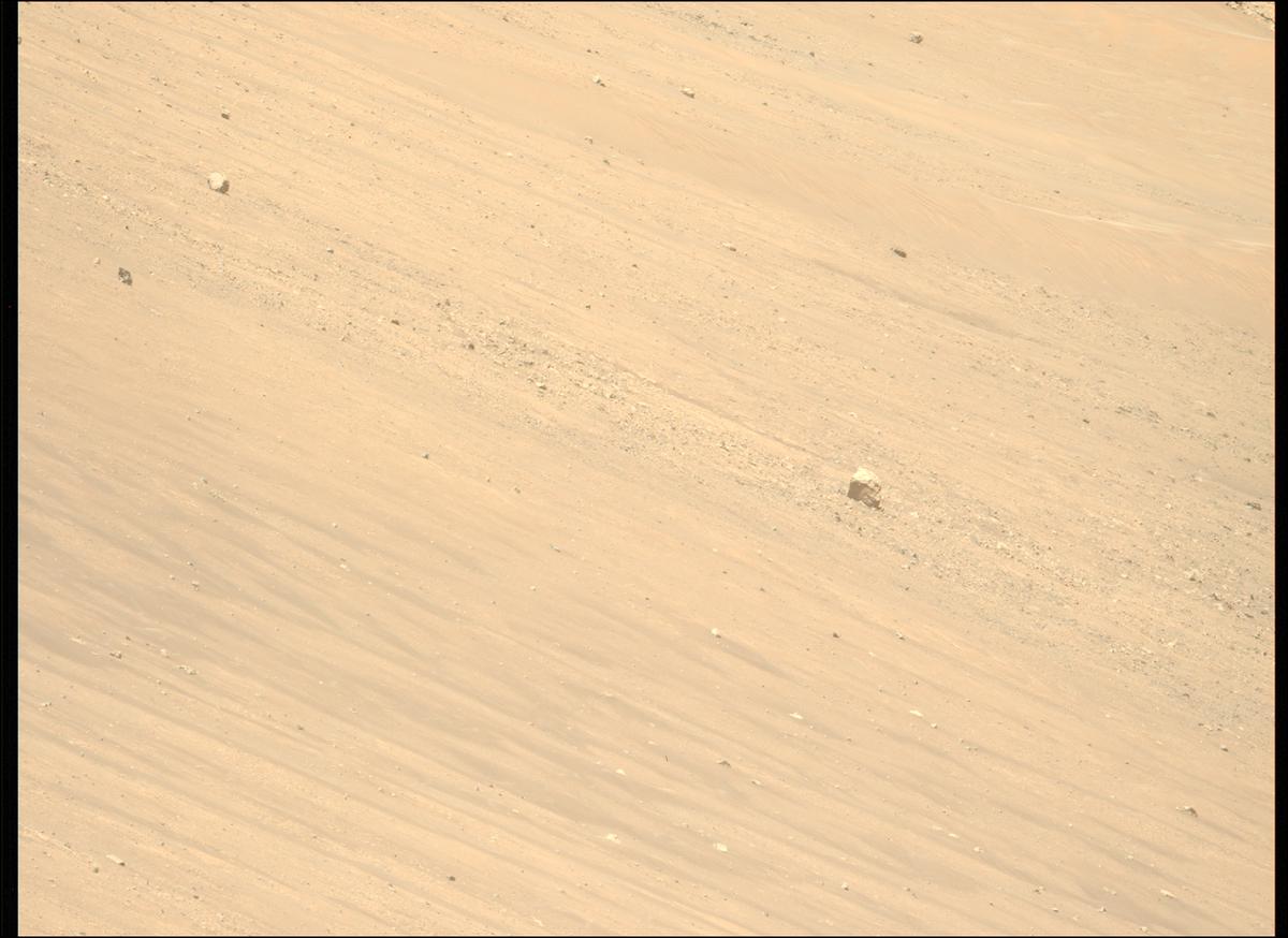 This image was taken by MCZ_LEFT onboard NASA's Mars rover Perseverance on Sol 1461