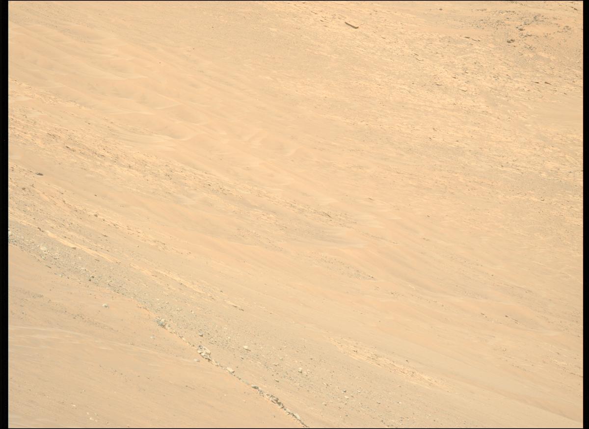 This image was taken by MCZ_LEFT onboard NASA's Mars rover Perseverance on Sol 1461