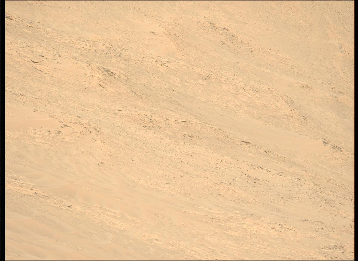 This image was taken by MCZ_LEFT onboard NASA's Mars rover Perseverance on Sol 1461