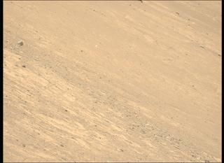 View image taken on Mars, Mars Perseverance Sol 1461: Left Mastcam-Z Camera