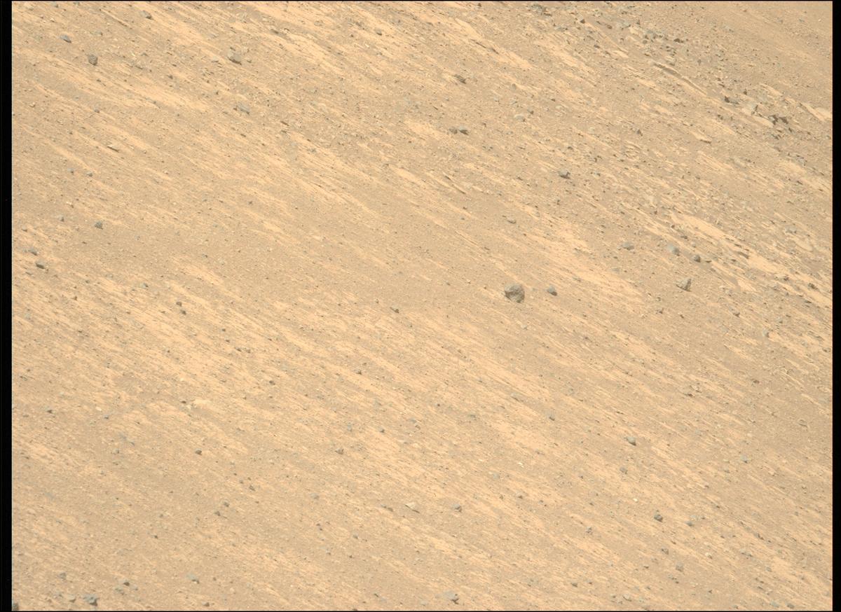 This image was taken by MCZ_LEFT onboard NASA's Mars rover Perseverance on Sol 1461