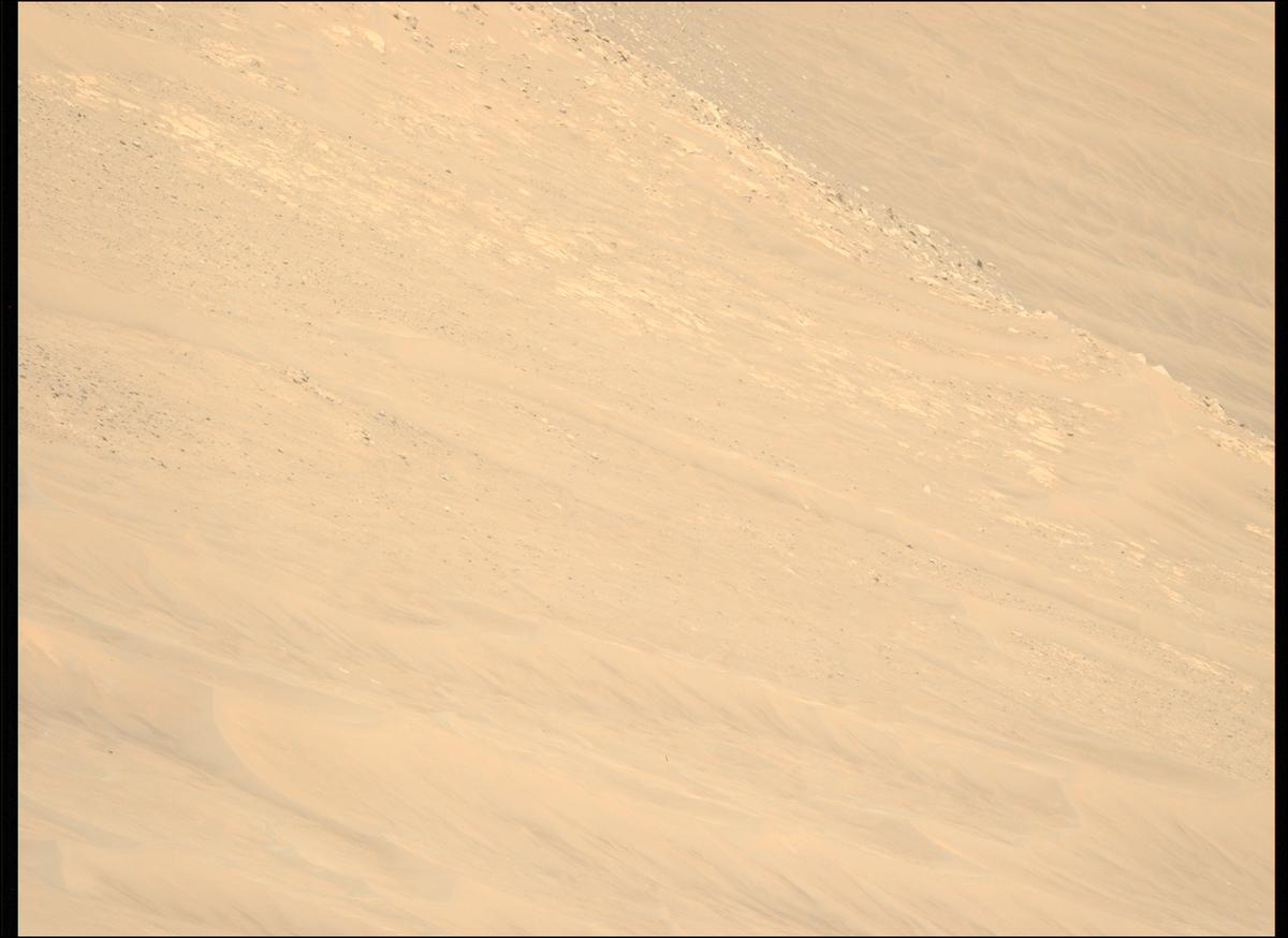This image was taken by MCZ_LEFT onboard NASA's Mars rover Perseverance on Sol 1461