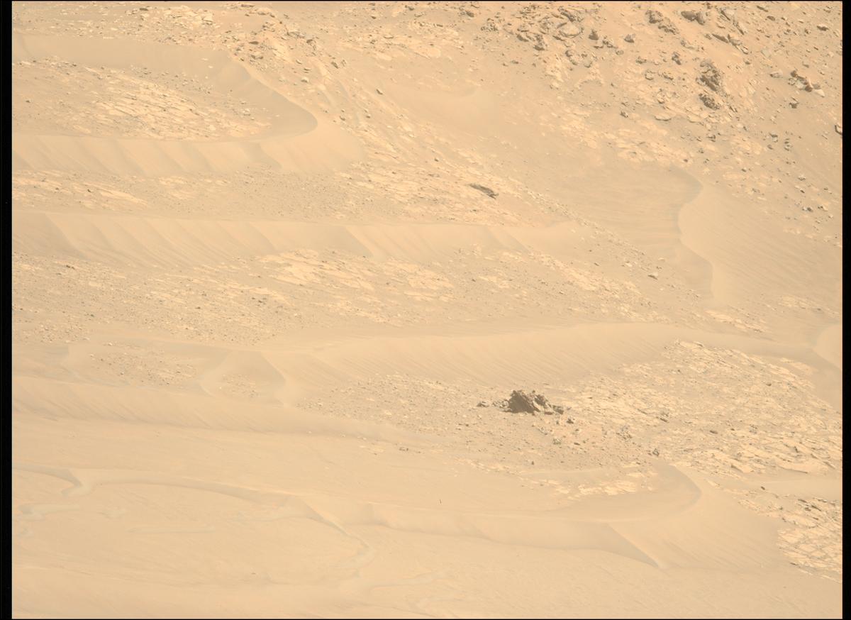 This image was taken by MCZ_LEFT onboard NASA's Mars rover Perseverance on Sol 1461