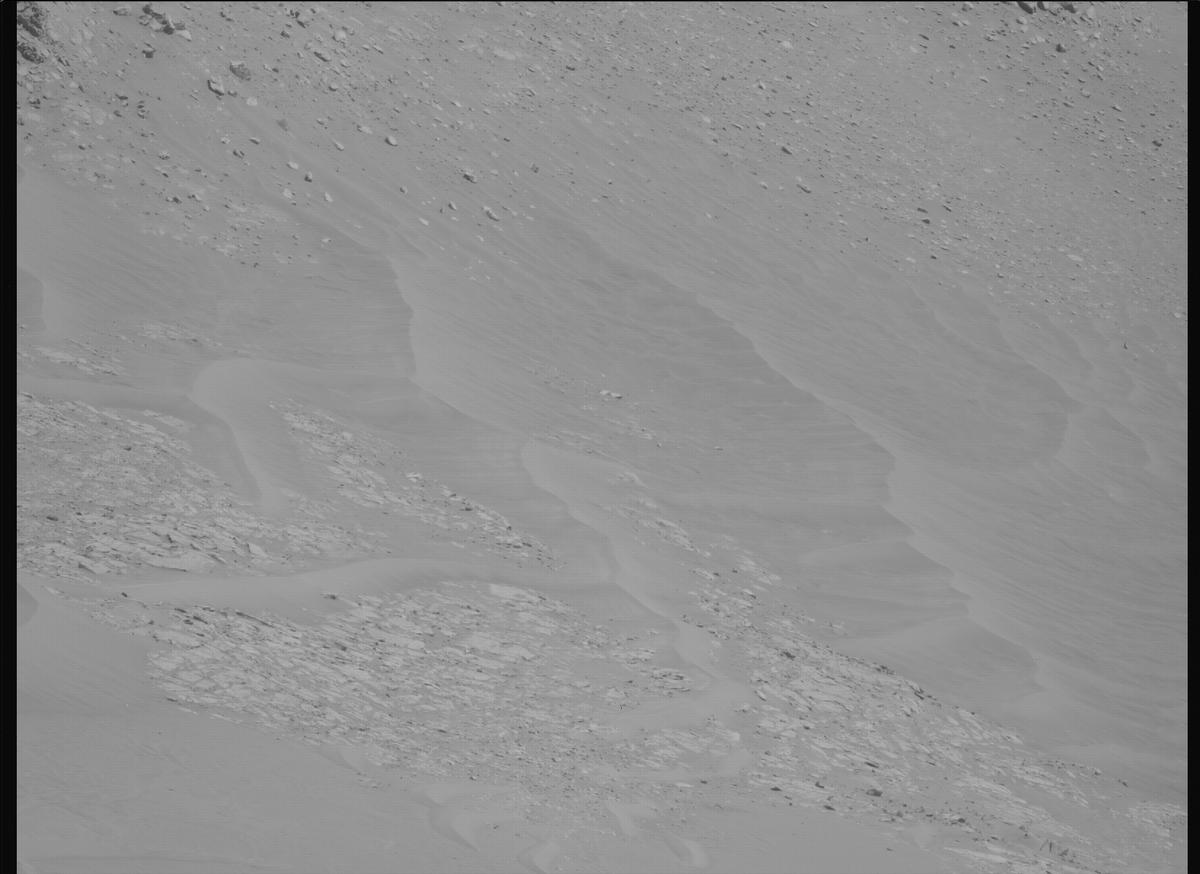 This image was taken by MCZ_LEFT onboard NASA's Mars rover Perseverance on Sol 1461