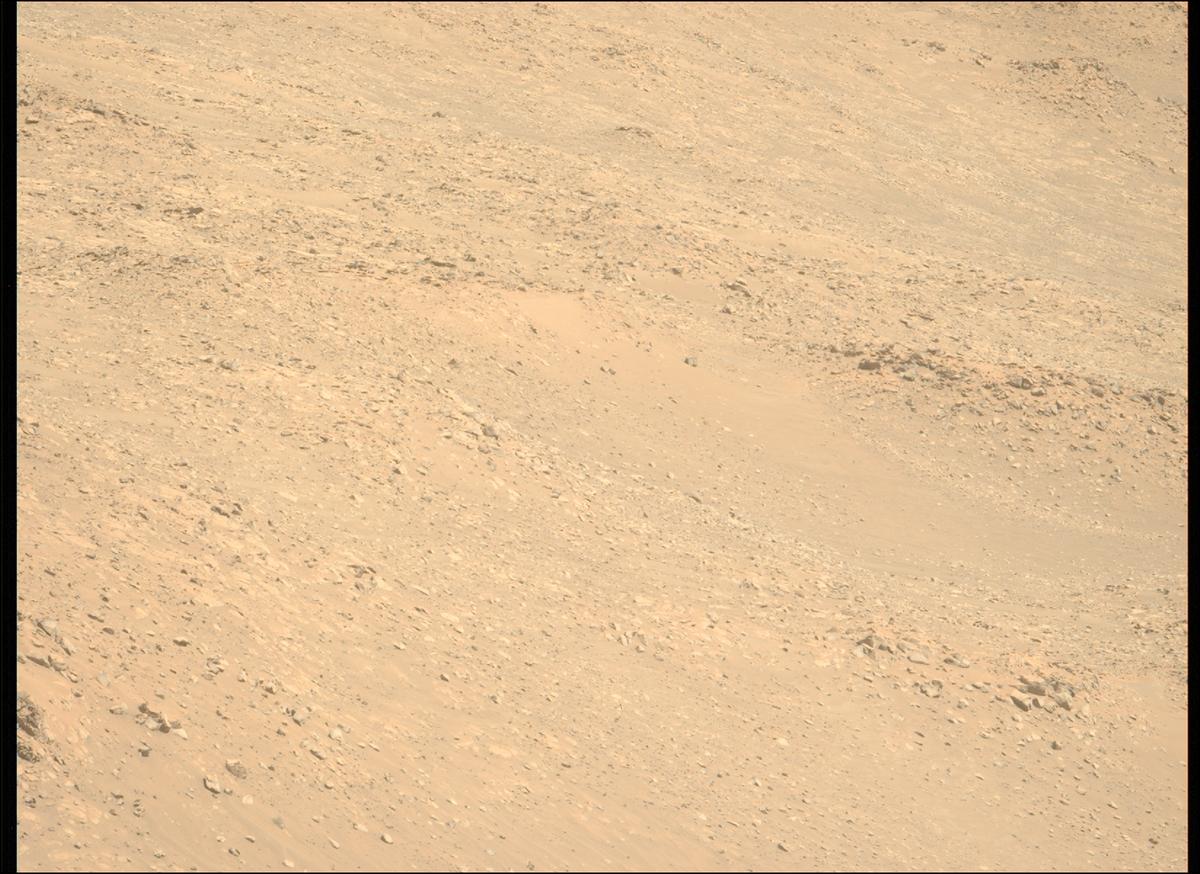 This image was taken by MCZ_LEFT onboard NASA's Mars rover Perseverance on Sol 1461