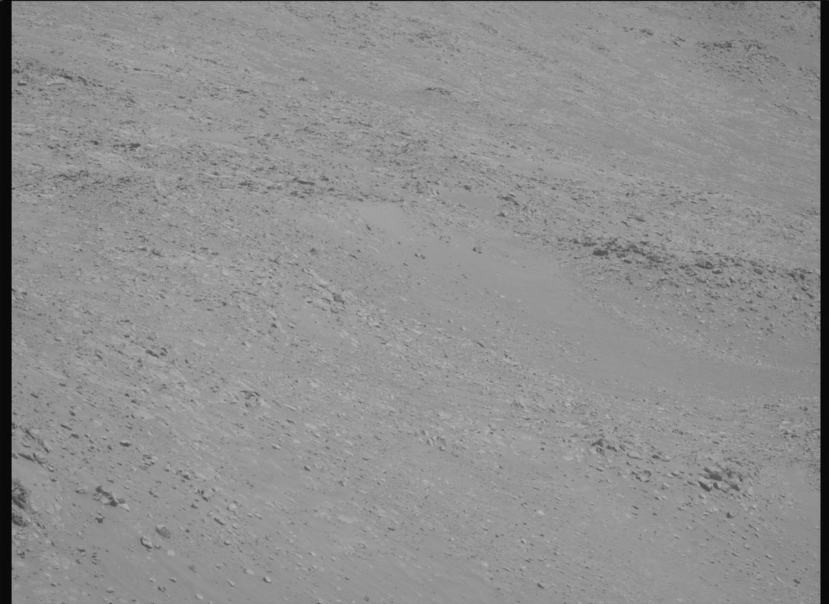 This image was taken by MCZ_LEFT onboard NASA's Mars rover Perseverance on Sol 1461