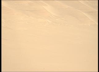 View image taken on Mars, Mars Perseverance Sol 1461: Left Mastcam-Z Camera