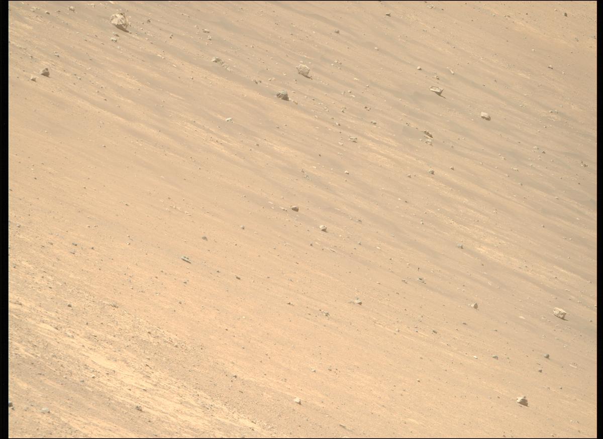 This image was taken by MCZ_RIGHT onboard NASA's Mars rover Perseverance on Sol 1461