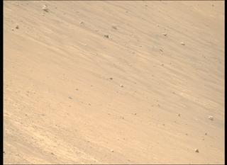 View image taken on Mars, Mars Perseverance Sol 1461: Right Mastcam-Z Camera