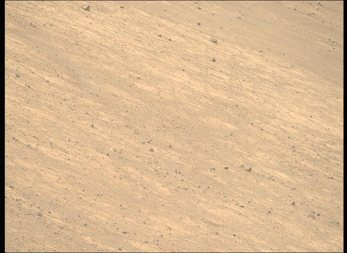 This image was taken by MCZ_RIGHT onboard NASA's Mars rover Perseverance on Sol 1461