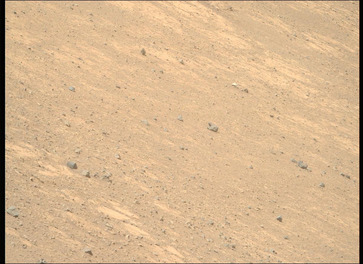 This image was taken by MCZ_RIGHT onboard NASA's Mars rover Perseverance on Sol 1461