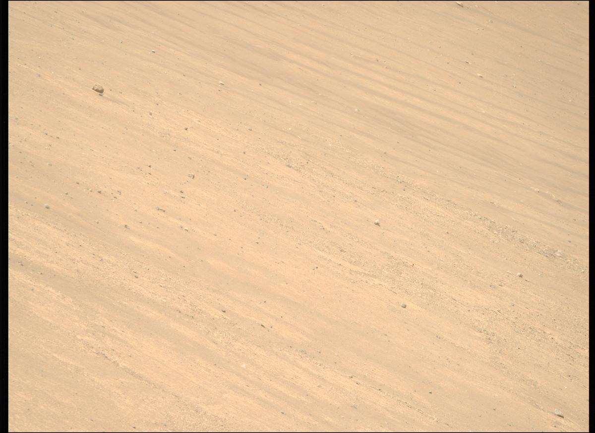 This image was taken by MCZ_RIGHT onboard NASA's Mars rover Perseverance on Sol 1461